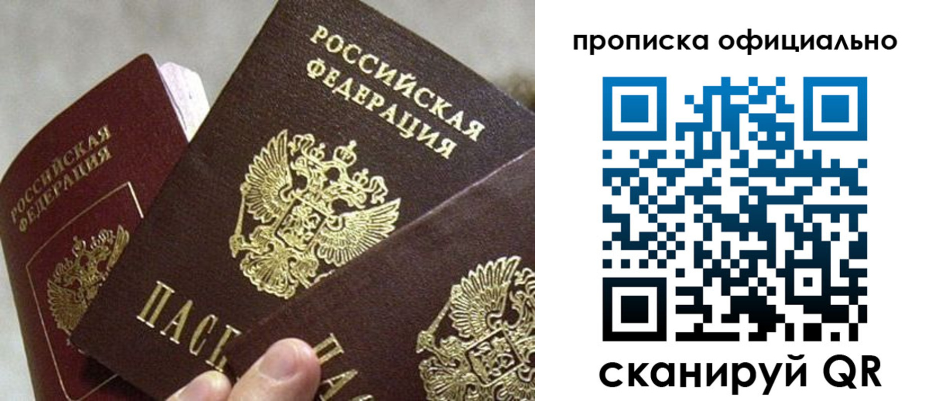 прописка гарантия в Сельцо